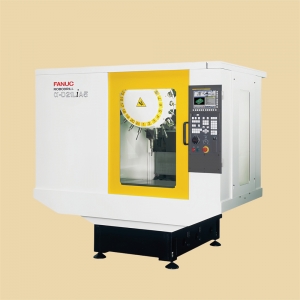 FANUC-D21LiA5